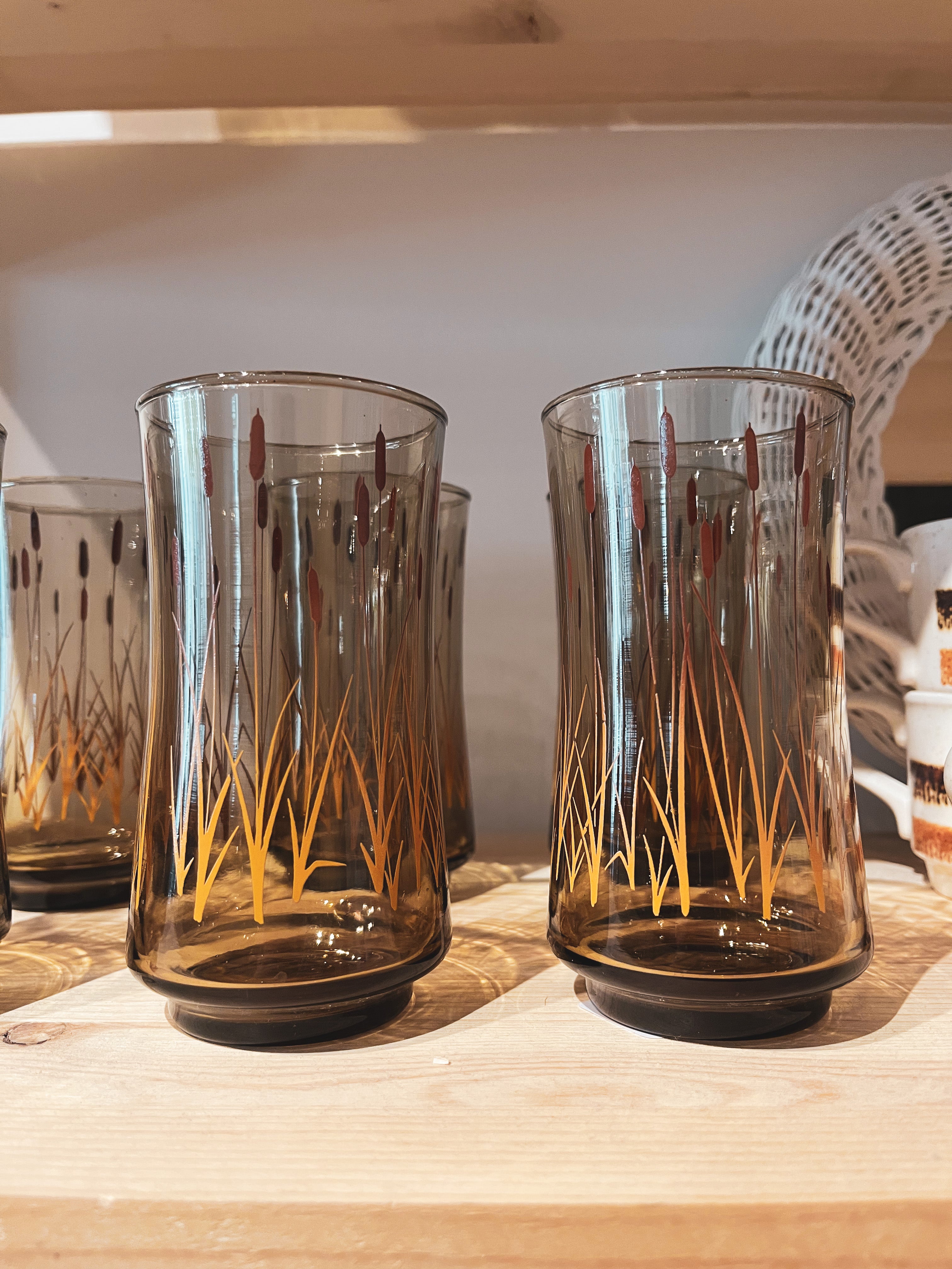vintage smoky tumblers with cattails set of 8